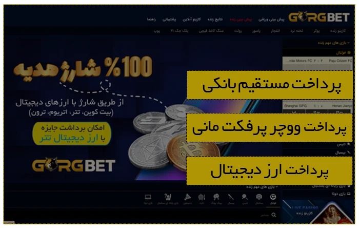 گرگ بت ⚽ سایت شرط بندی گرگ بت 14 گرگ بت ⚽ سایت شرط بندی گرگ بت انواع راه های شارژ حساب در گرگ بت