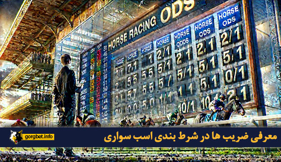 معرفی ضریب ها در شرط بندی اسب سواری