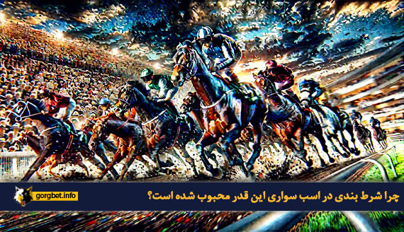 چرا شرط بندی در اسب سواری این قدر محبوب شده است؟