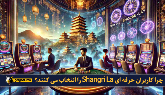 چرا کاربران حرفه ای Shangri La را انتخاب می کنند؟